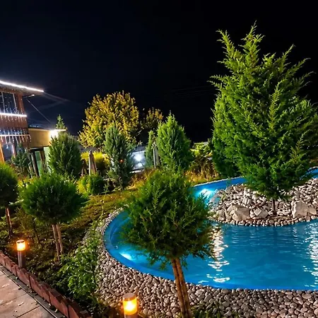 Janjic *